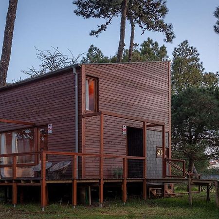 Bungalow B9 - Nature, Beach & River Fão エクステリア 写真