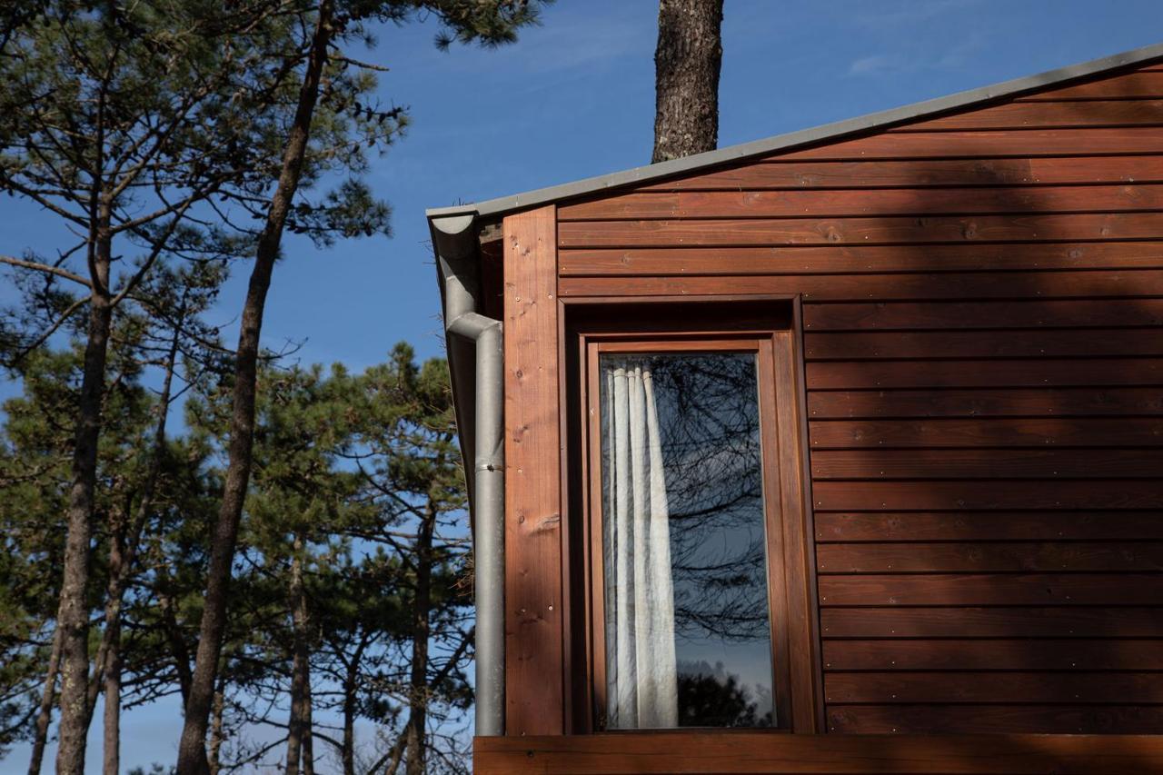 Bungalow B9 - Nature, Beach & River Fão エクステリア 写真
