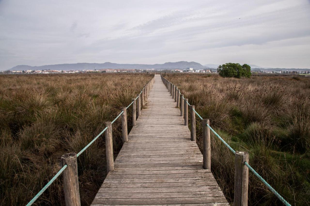 Bungalow B9 - Nature, Beach & River Fão エクステリア 写真
