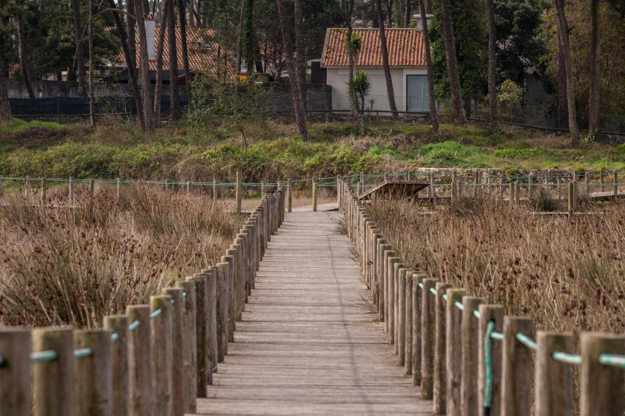 Bungalow B9 - Nature, Beach & River Fão エクステリア 写真